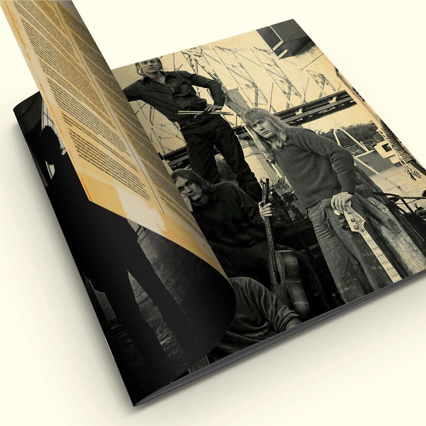 (I’m) Stranded (Limited Vinyl Box Set)
